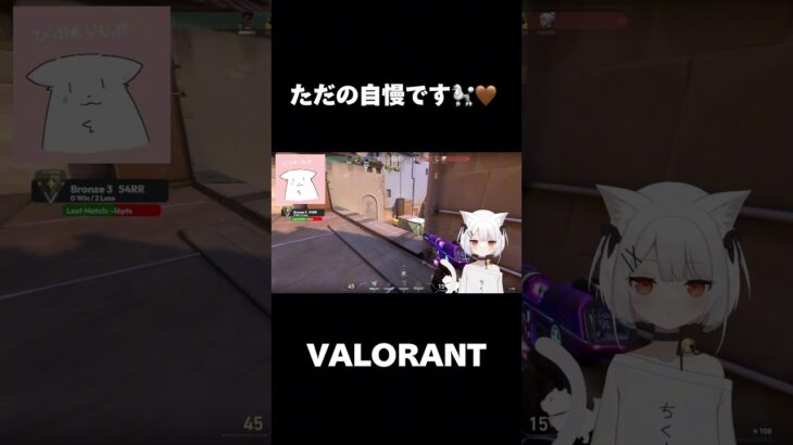 #vstreamer #vtuber #valorant #valorantクリップ #valorantキル集