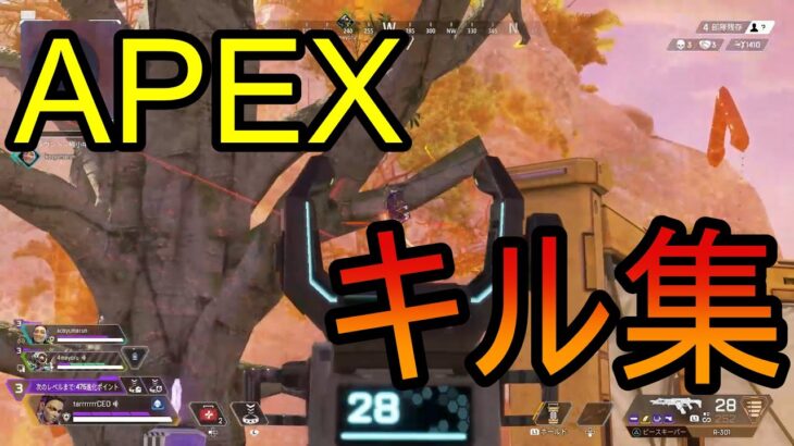 APEXキル集