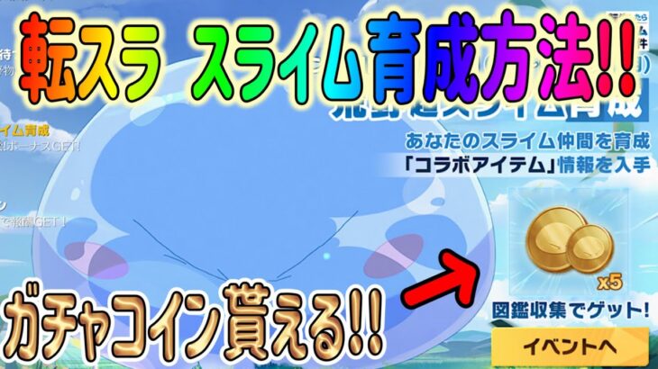 【荒野行動】 転スラ事前準備! 超スライム育成方法を簡潔に解説!! ガチャコイン貰える！