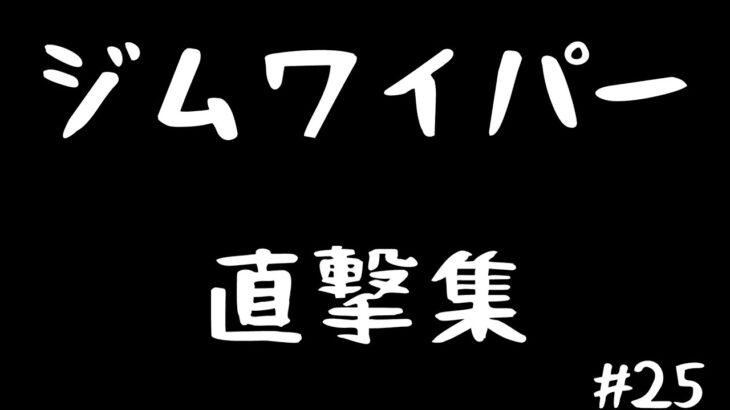 【スプラ3】#25 ジムワイパーキル集