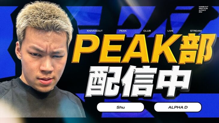 【縦配信】PEAK部！【荒野行動】