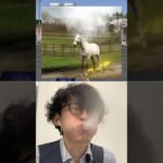 🐎vs🔥Subscribe thank you❤️🤣🤣🤣【荒野の光】荒野行動 #荒野の光 #memes #funny #shorts