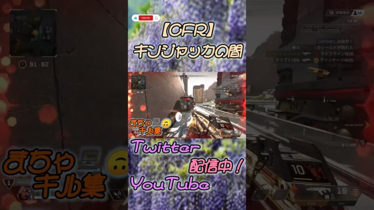 【CFR】まちゃ💻️🙃キル集＃APEX＃初配信＃ゲーム実況 #ゲーム配信 ＃キンジャッカの間＃CFR #キル集