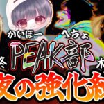 【縦配信】深夜PEAK部強化合宿！！【荒野行動】