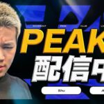 【縦配信】PEAK部【荒野行動】