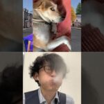 🐕vs🛏️Subscribe thank you❤️🤣🤣🤣【荒野の光】荒野行動 #荒野の光 #memes #funny #shorts