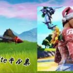 ハンドガン大好きマンのFortniteキル集