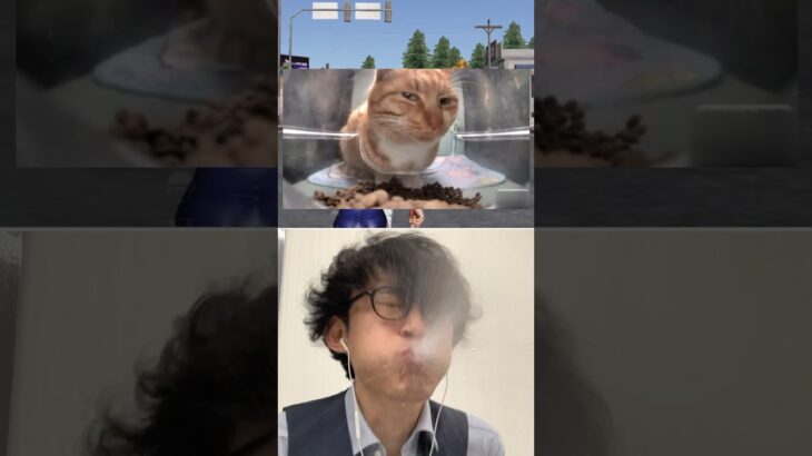 Subscribe thank you❤️🤣🤣🤣【荒野の光】荒野行動 #荒野の光 #memes #funny #shorts #cat #猫