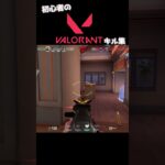 初心者のvalorantキル集【valorant】#valorant #ヴァロラント #valorantキル集 #shorts #valorantmontage