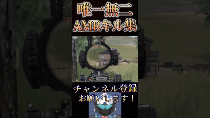 AMR-83極めすぎちゃったwww【荒野行動】