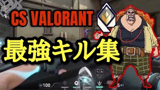 【CS VALORANT】VALORANTがやりたくなるレディアントの最強キル集#2