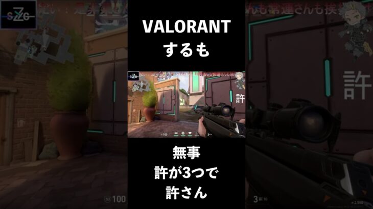 【VALORANT】変態のキル集