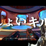 恐らく世界で一番きっっしょいキル集│APEX