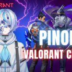 【VALORANT/ヴァロラント】PINON’S CLIP【ぴのんヨルクリップ・キル集 #3】