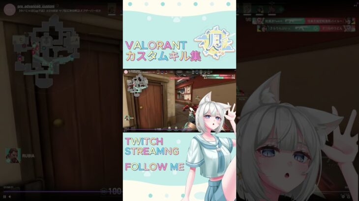 VALORANT カスタムキル集２ #ゲーム実況 #vtuberclips #valorantclips