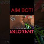 【VALORANT】AIM BOT! #shorts #valorant #valorantclips #valorantクリップ #valorantキル集 #ヴァロラント #valorantショート