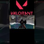 【VALORNT】初めて半年が経とうとしている。 #valorant #キル集 #ヴァロラント