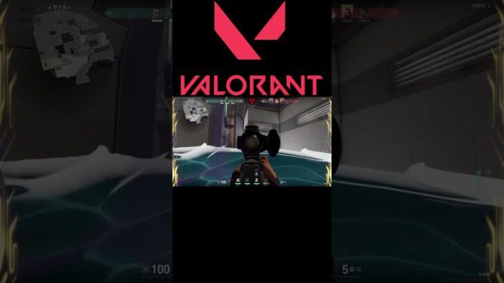 【VALORNT】初めて半年が経とうとしている。 #valorant #キル集 #ヴァロラント