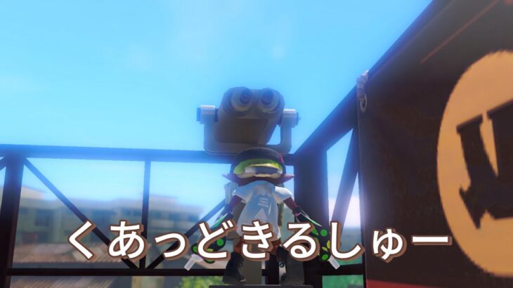 [スプラトゥーン3]クアッドホッパーキル集