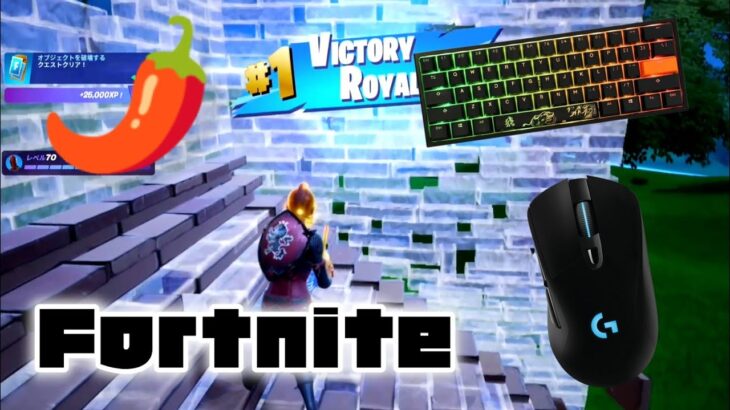 【Spicy🌶️】Xbox one直差し最強のFortniteキル集🎉✨(Chapter2 Remix)