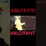 【VALORANT】AIMパキパキ! #shorts #valorant #valorantclips #valorantクリップ #valorantキル集 #ヴァロラント