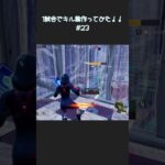 1日1試合のキル数合計でキル集作ってみた！！！#23 #fortnite #フォートナイト #highlight #モニタリング【フォートナイト/Fortnite】