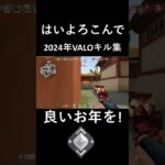 【はいよろこんで】2024年VALORANTキル集　【VALORANT/ヴァロラント】 #shorts