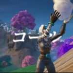 「コール」キル集【Fortnite】