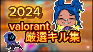 【cs valorant】2024年の厳選キル集！！