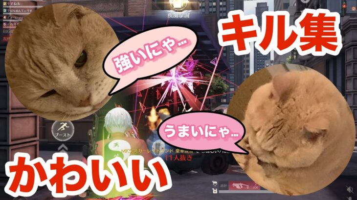 【荒野行動】×【猫】猫好きは見て！かわいいキル集？！