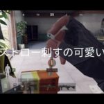 スプラのキル集に手こずっているので代わりのアリブレ動画