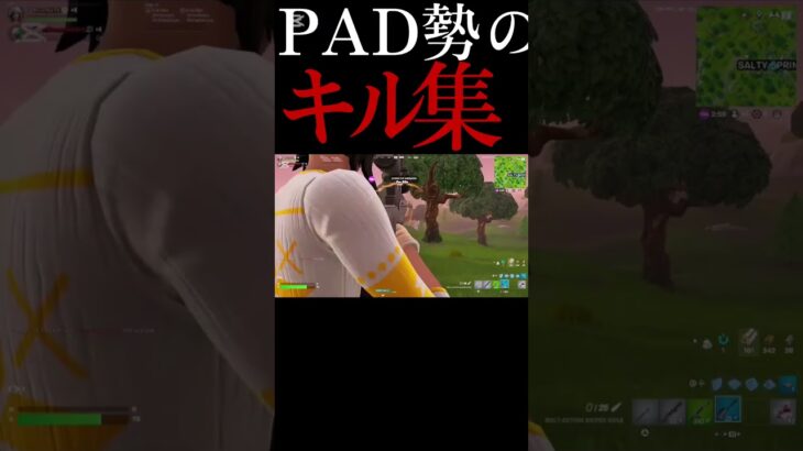 PAD勢のキル集！！#Fortnite#shorts 【フォートナイト/Fortnite】