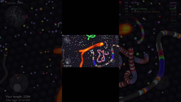 数時間で取れた良いキル集#slitherio # #music #キル集