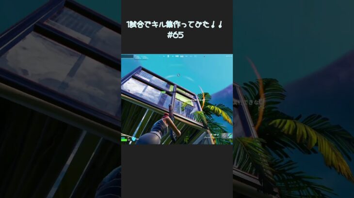 1日1試合のキル数合計でキル集作ってみた！！！#65 #fortnite #フォートナイト #highlight 【フォートナイト/Fortnite】