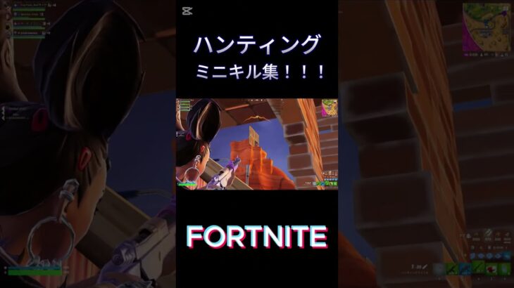 【フォートナイト】ハンティングミニキル集！ #ショート #fortnite #フォートナイト #フォトナ #ゲーム実況 #参加型 #キル集 #スナイパー