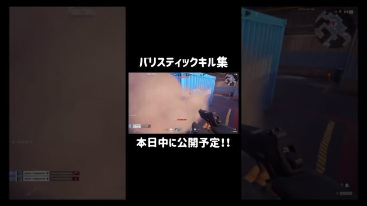 長尺動画の方でバリスティックのキル集を今日中に公開する予定です！！ #フォートナイト #fortnite