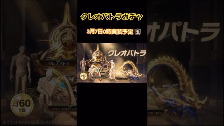 【荒野行動】クレオパトラガチャ3月7日0時実装予定👩🏻‍🏫#荒野行動 #荒野行動ガチャ #荒野組 #荒野あーちゃんねる