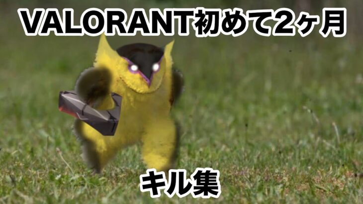 【VALORANT】キル集