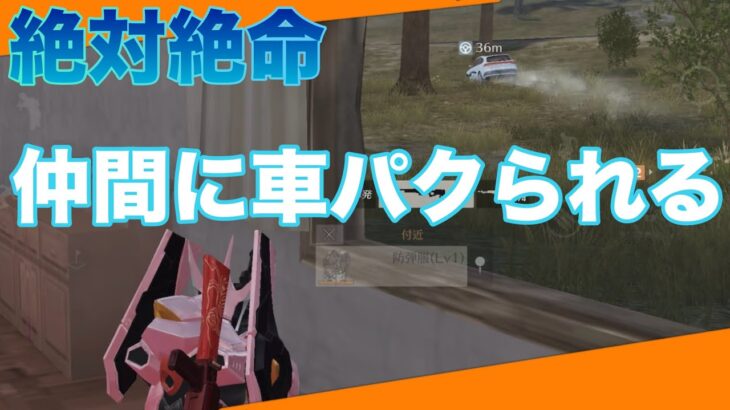 【荒野行動】仲間に車パクられて絶体絶命👀 #初心者 #荒野行動 #荒野組  #ちと荒野