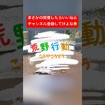 【荒野行動×教育番組】あるある？いや無い無い！　#荒野行動エンジョイ勢 #荒野行動 #荒野gogofes #フォートナイト #かっこいいキル集 #荒野行動キル集 #ゲーム実況