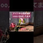 【荒野行動】荒野行動キル集#荒野行動 #荒野行動キル集 #knivesout