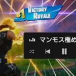 主にマンモス🔫稀にスナ　キル集🎉
