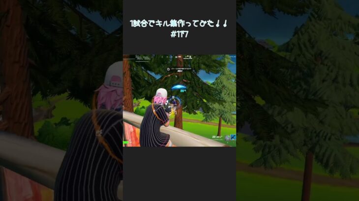 1日1試合のキル数合計でキル集作ってみた！！！#117 #fortnite #フォートナイト #highlight 【フォートナイト/Fortnite】