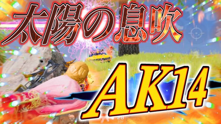 【荒野行動】シーズン報酬で貰えるAK14が強すぎたwww