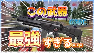 新武器G36Cが強すぎる…！【荒野行動】