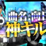 【キル集】Highlight#2/向日葵【Fortnite/フォートナイト】