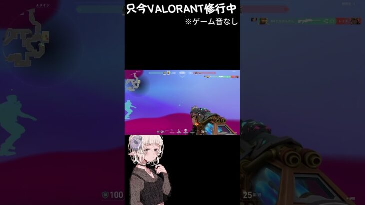 【VALORANT】FPS初心者🔰の奮闘集①【キル集】 #valorant #fps初心者 #ゲーム初心者 #キル集 #新人vtuber #vtuber #ショート