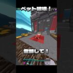 ベット破壊！ #anime #minecraft #zeqa4k #マイクラ #zeqasumo #マインクラフト #かっこいいキル集 #bedwars #minecraftbedrock