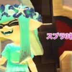 スプラキル集です🥺初めてキル集したので上手いか分かりませんが💦暖かく見ていただけると嬉しいです✨😿スプラの動画とかも出していくので！是非見てください‪(っ ॑꒳ ॑c)💞