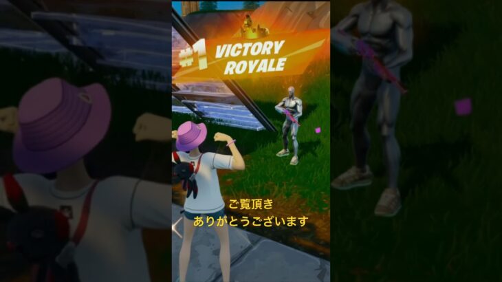 自己満キル集。#fortnite #fortniteclips #キルショット #フォートナイト #フォトナ